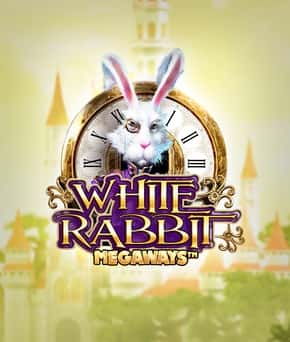 White Rabbit