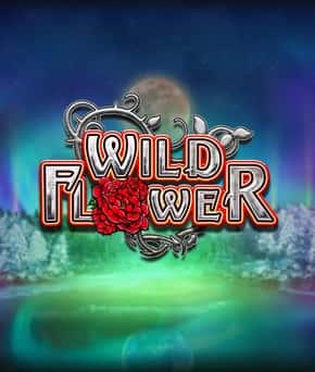 Wild Flower