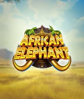 African Elephant