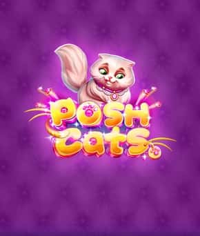 Posh Cats