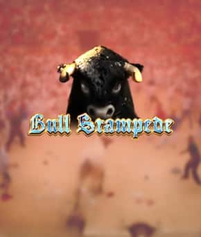 Bull Stampede