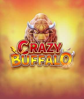CRAZY BUFFALO
