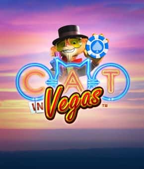 Cat in Vegas