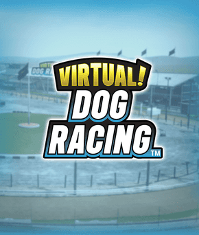 Virtual! Dog Racing