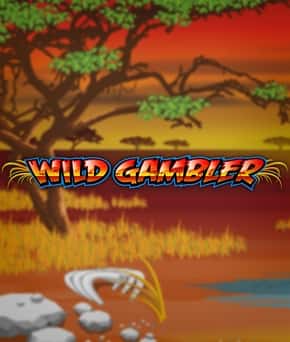 Wild Gambler
