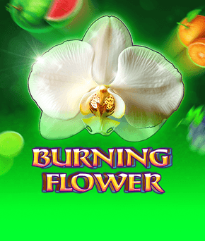 Burning Flower