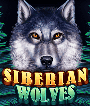Siberian Wolves