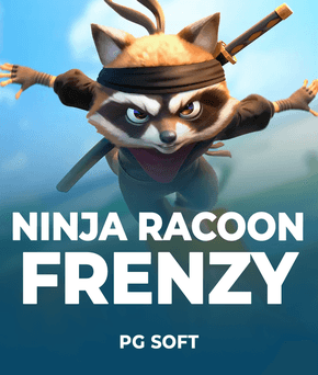 Ninja Racoon Frenzy