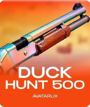 Duck Hunt 500