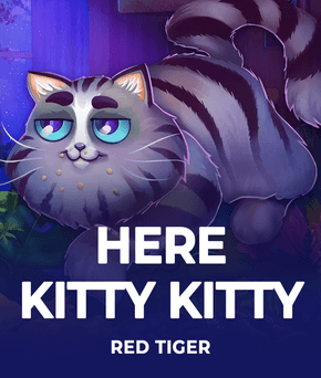 Here Kitty Kitty