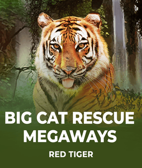 Big Cat Rescue Megaways