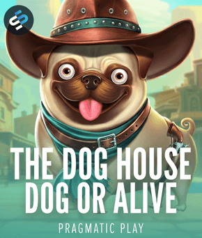 The Dog House - Dog or Alive