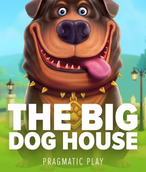 The Big Dog House