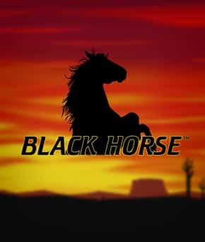Black Horse