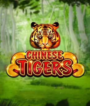 Chinese Tigers