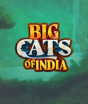 Big Cats of India