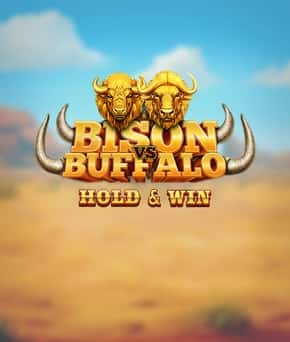 Bison vs Buffalo