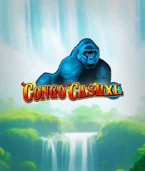 Congo Cash XL