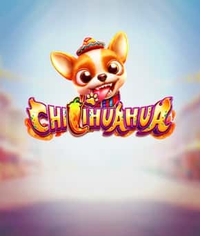 CHILIHUAHUA