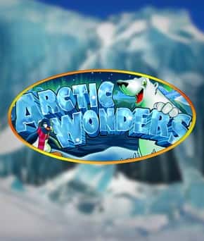 Arctic Wonders