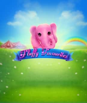 Fluffy Favourites