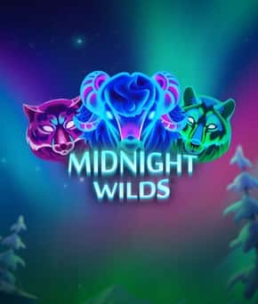 Midnight Wilds