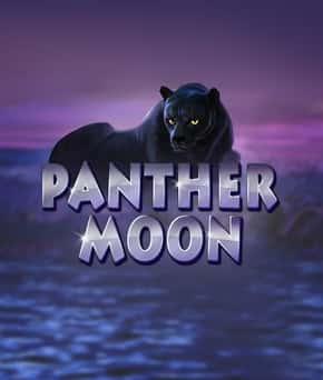 Panther Moon