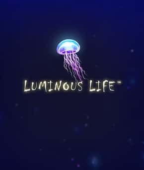 Luminous Life