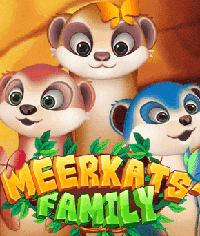 Meerkats' Family