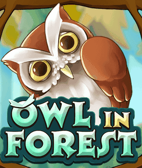 Owl In Forest
