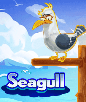 Seagull