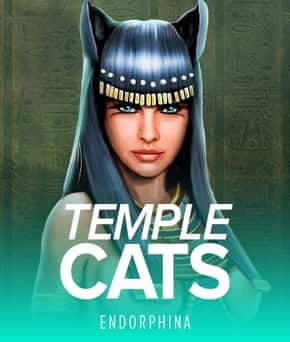 Temple Cats