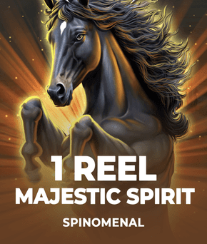 1 Reel - Majestic Spirit