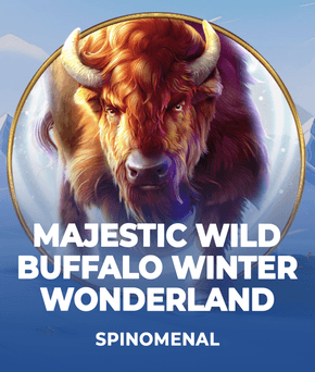 Majestic Wild Buffalo - Winter Wonderland
