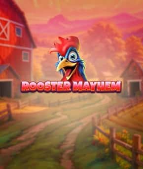 Rooster Mayhem