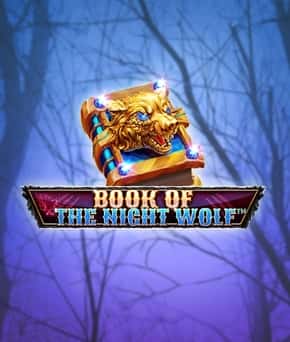 Book Of The Night Wolf