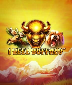 1 Reel Buffalo
