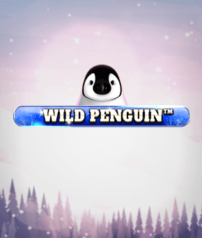 Wild Penguin