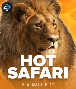Hot Safari